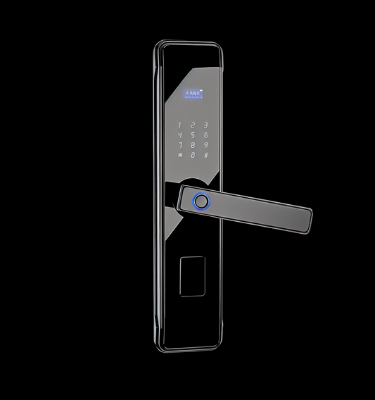 Smart Keyless Door Handle
